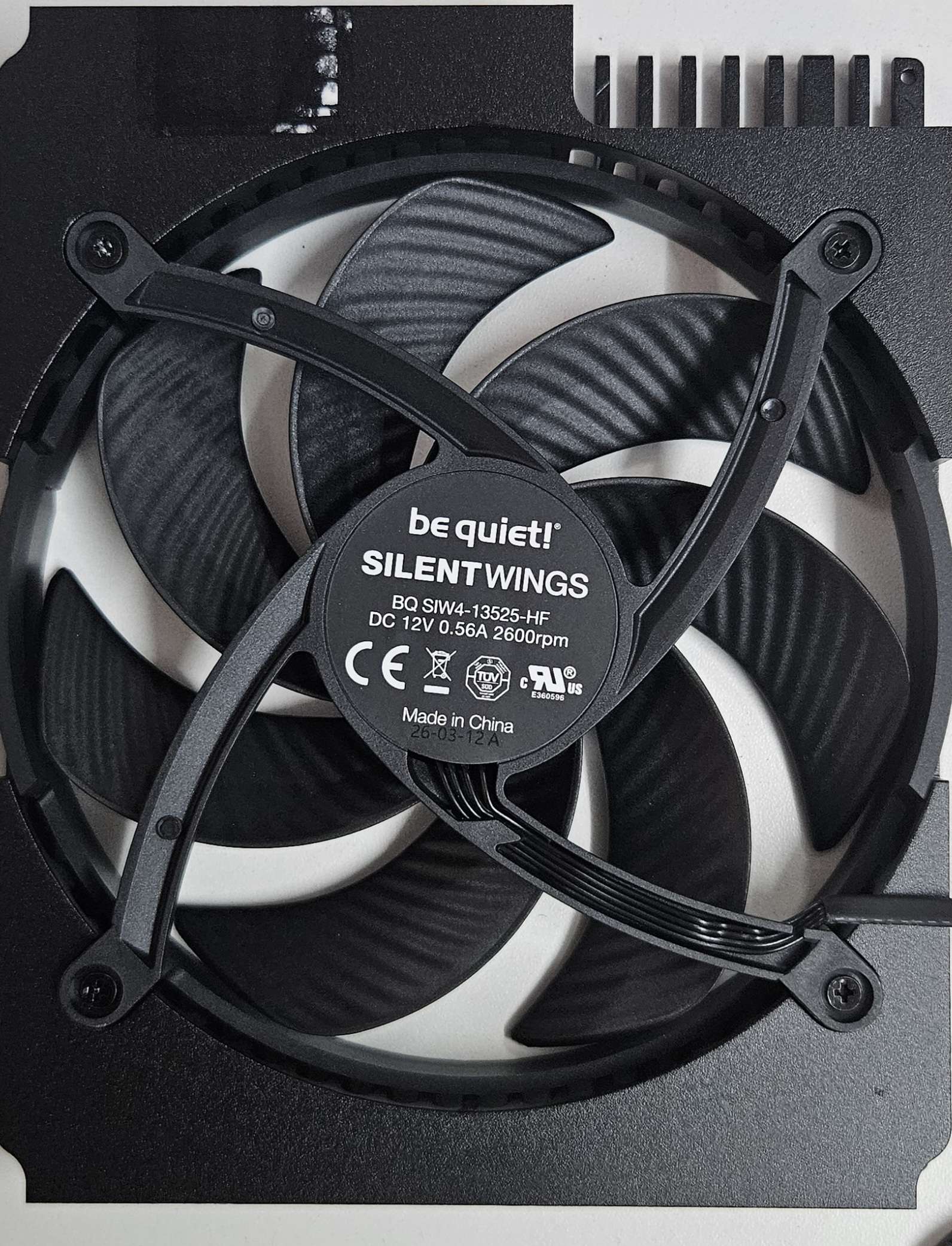 Fan