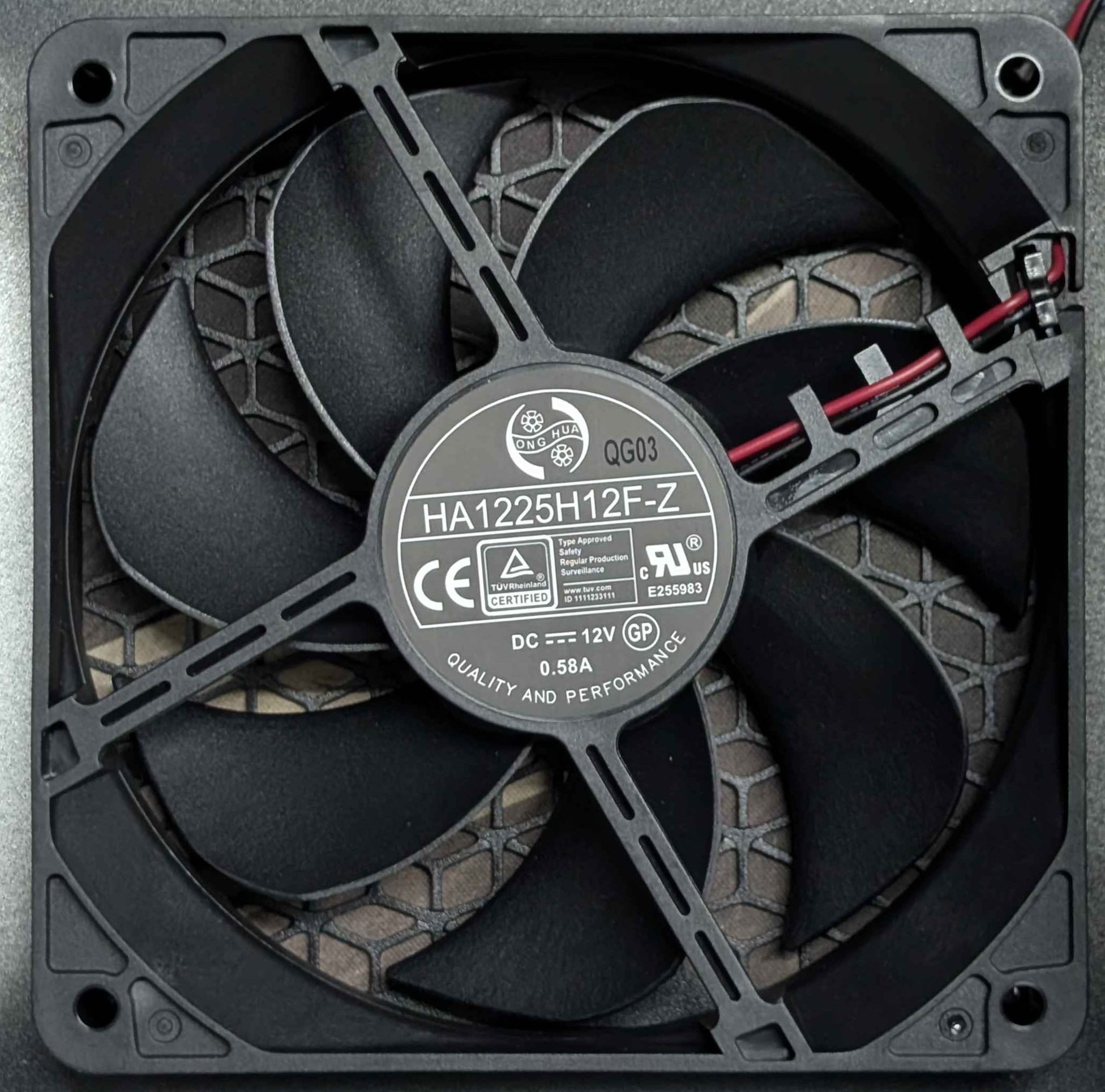 Fan