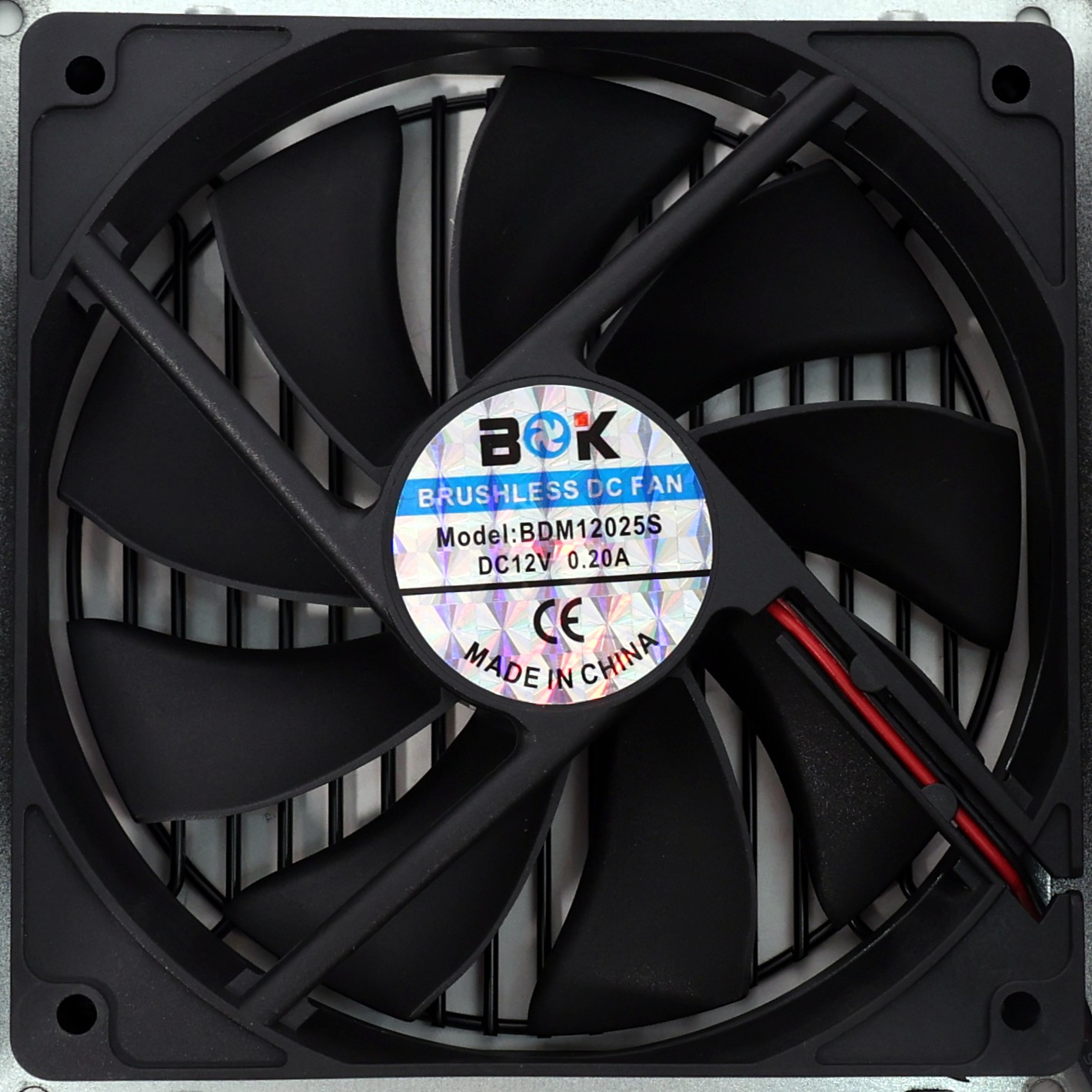 Fan